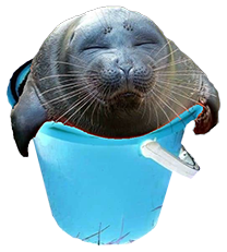Seal in a bucket